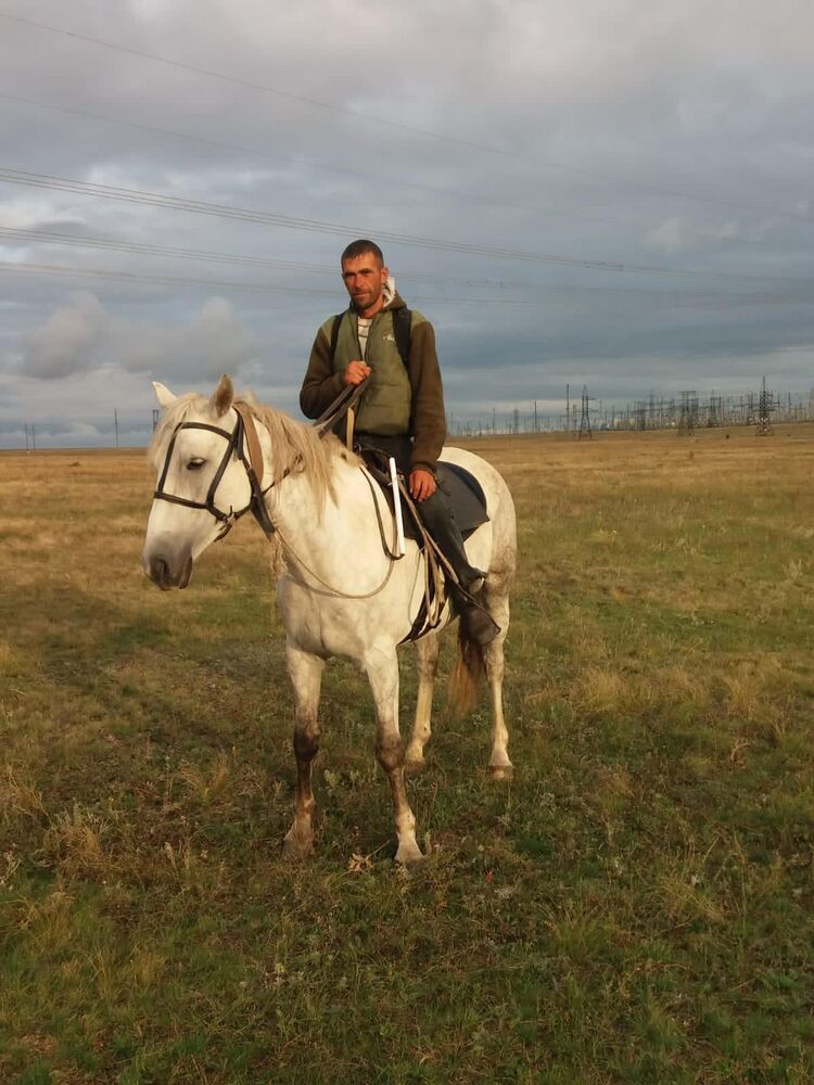 ���� 30594700 ������� ������, 39 ���, ���� ���������� � ����������