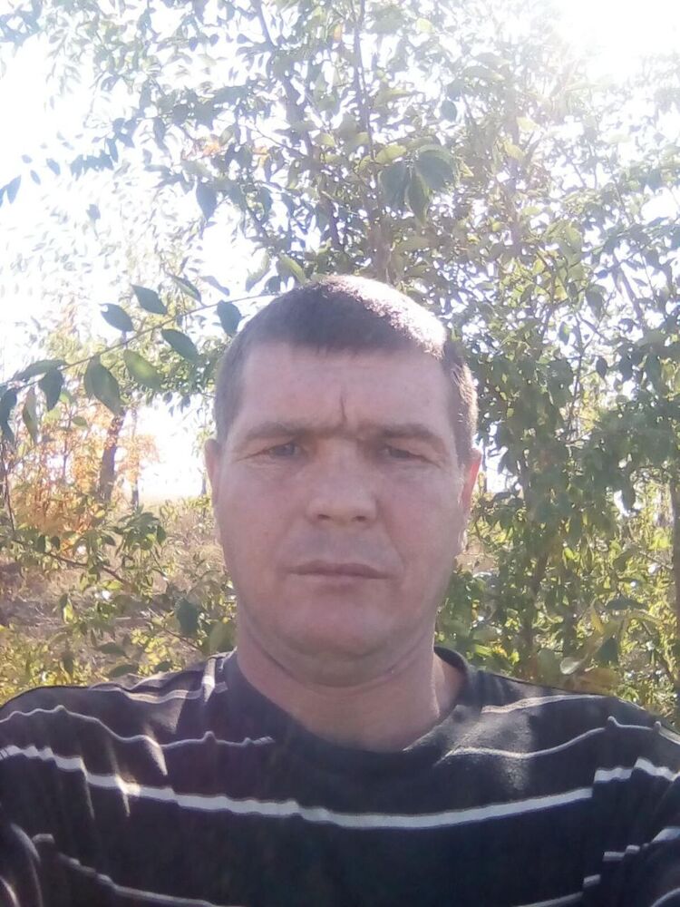  46958440  , 40 ,    