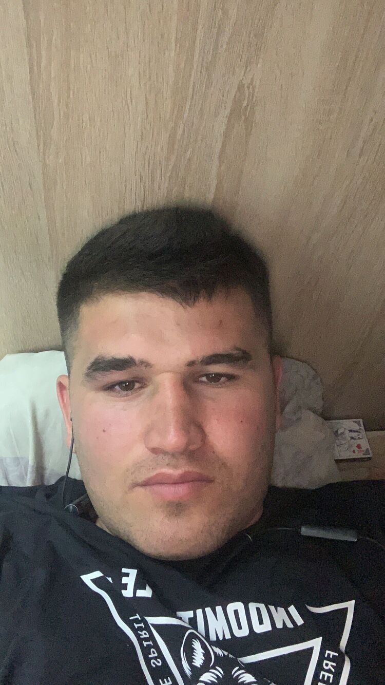  53433830  , 28 ,    