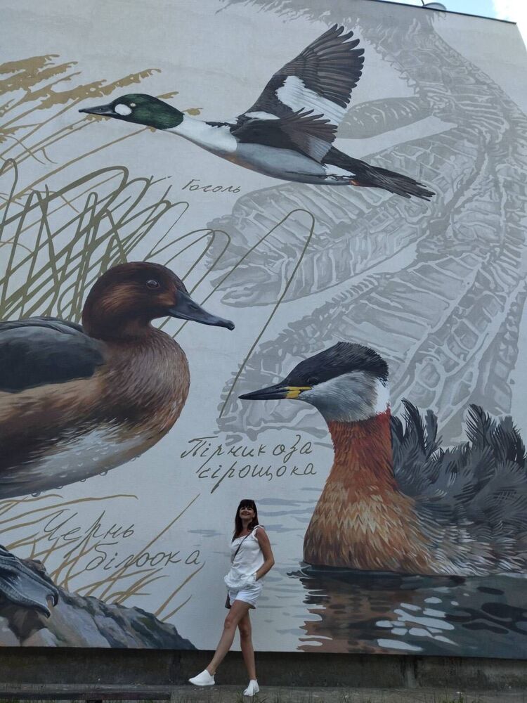 ���� 55204420 ������� Yana, 40 ���, ���� ���������� � ������������