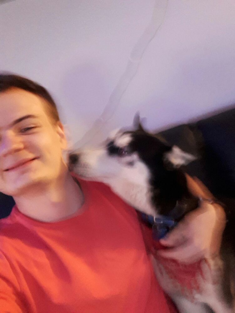 ���������� ������, ���� ������� ������, 29 ���, ������������ ��� ������, ����� � ���������