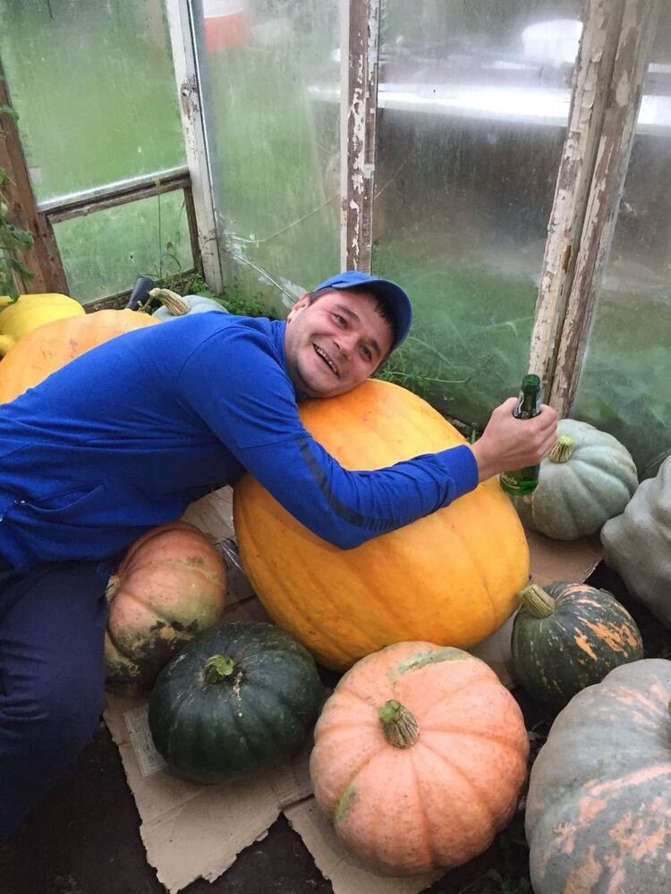 ���� 11632800 ������� �������, 43 ����, ���� ���������� � ����������