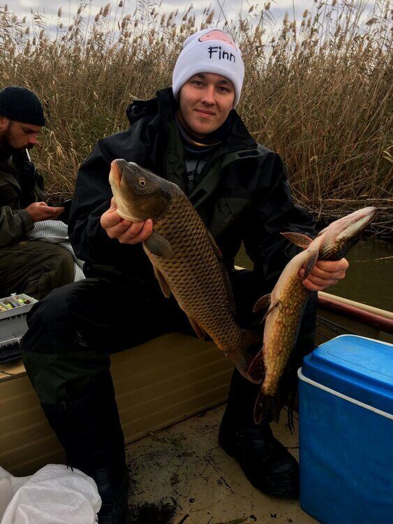 ���� 37241380 ������� Major Tom, 33 ����, ���� ���������� � ������