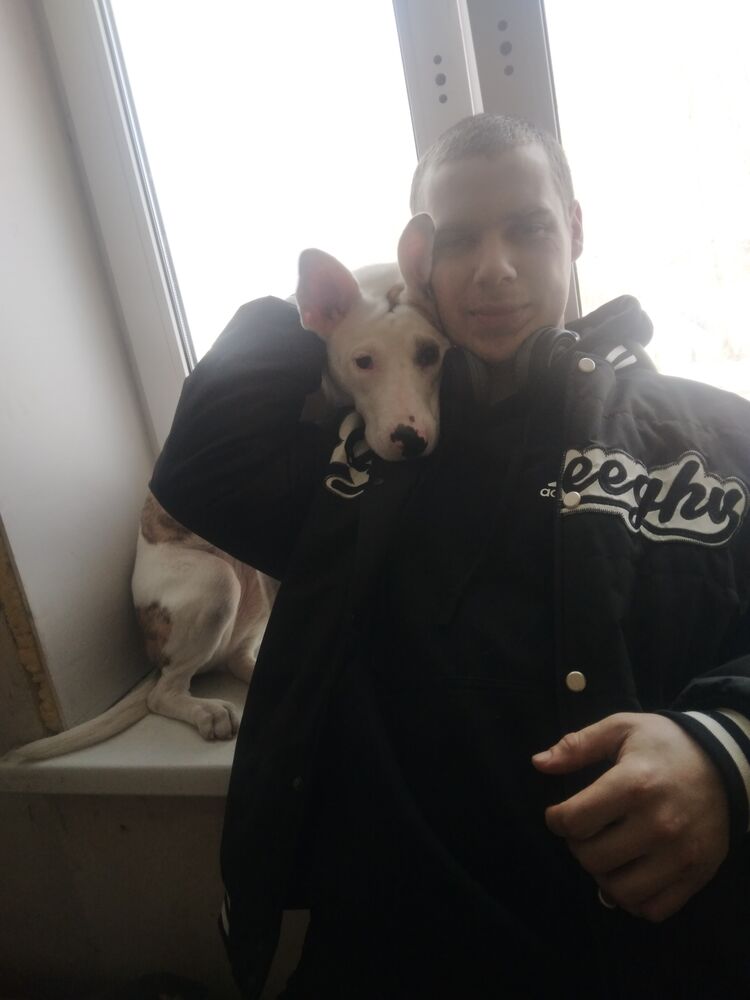 ���� 50112960 ������� �����, 29 ���, ���� ���������� � ���������