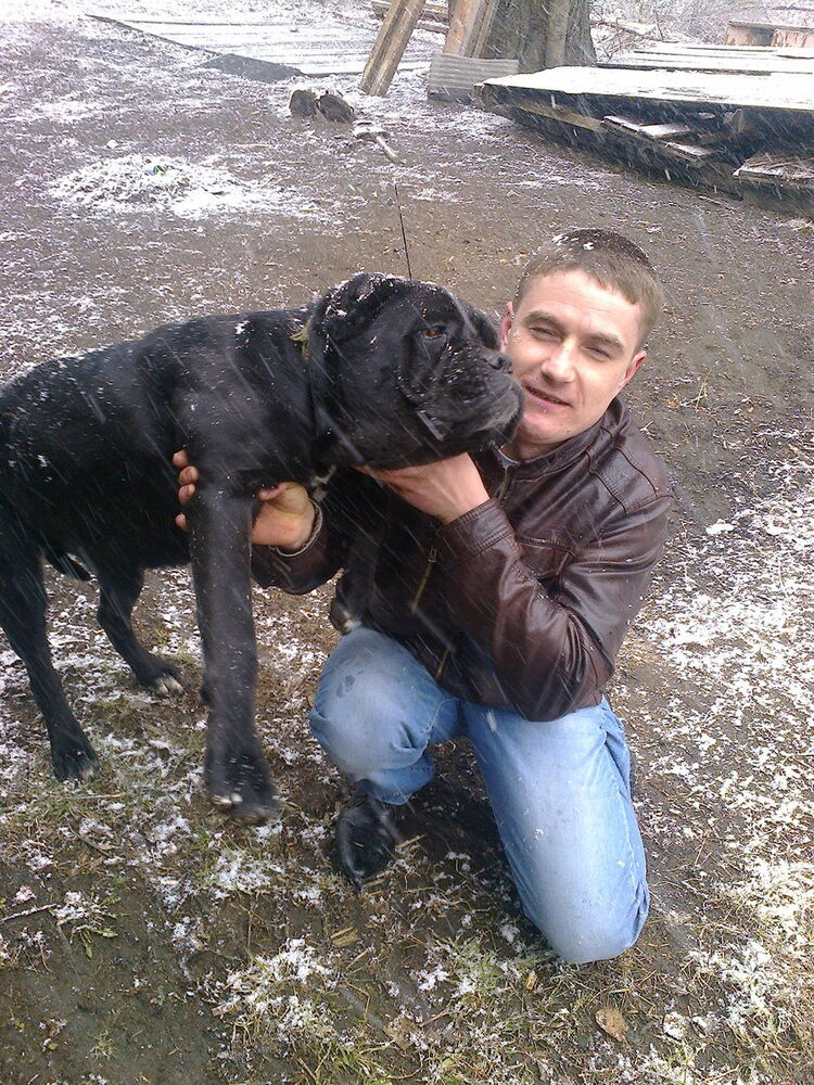 ���� 8139380 ������� �����, 39 ���, ���� ���������� � ������������