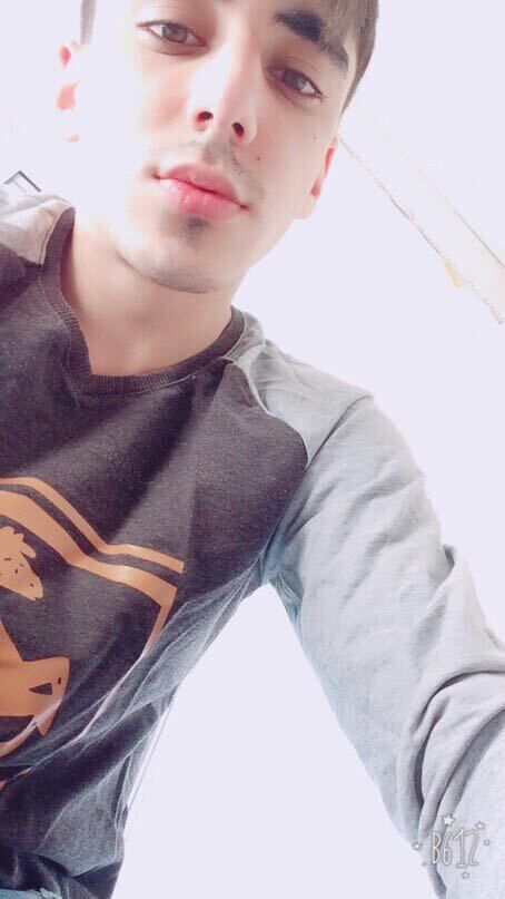  53365930  , 28 ,    