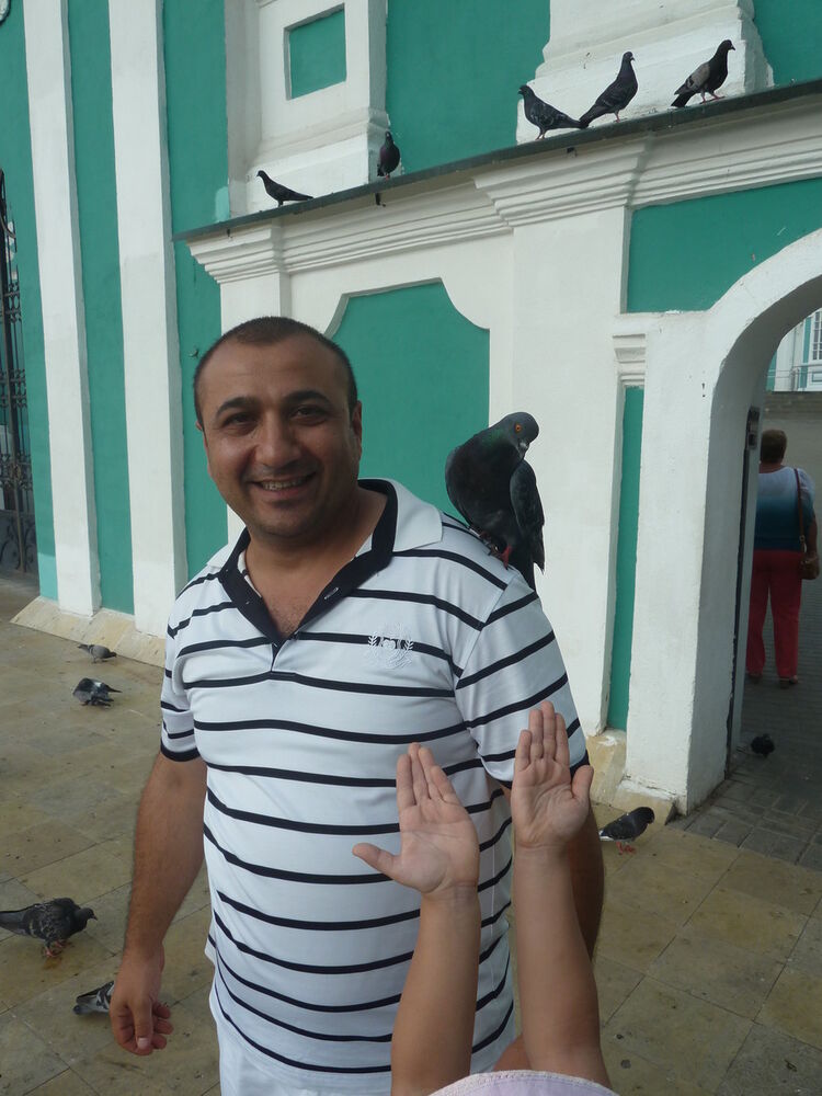 ���� 8005950 ������� Lev, 46 ���, ���� ���������� � ���������