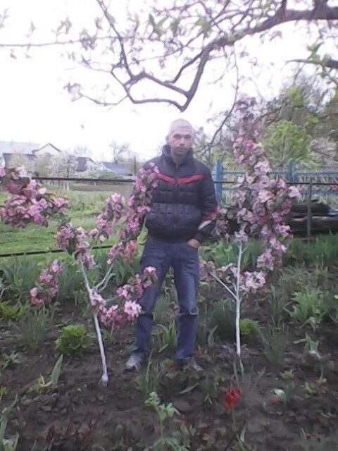 ���� 9485640 ������� �����, 38 ���, ���� ���������� � ���������