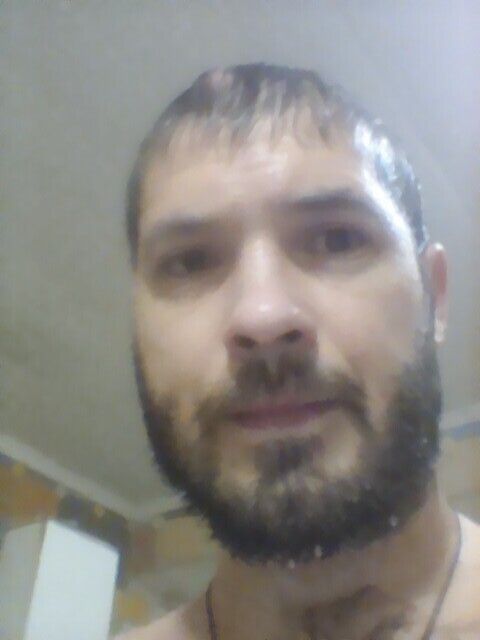  48599350  , 31 ,    