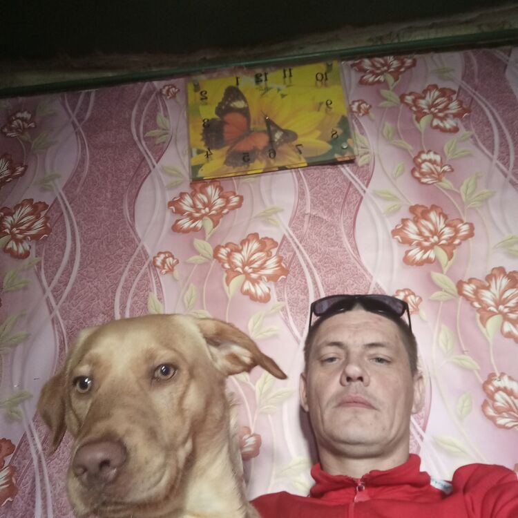 ���� 38694640 ������� ���, 39 ���, ���� ���������� � ���������