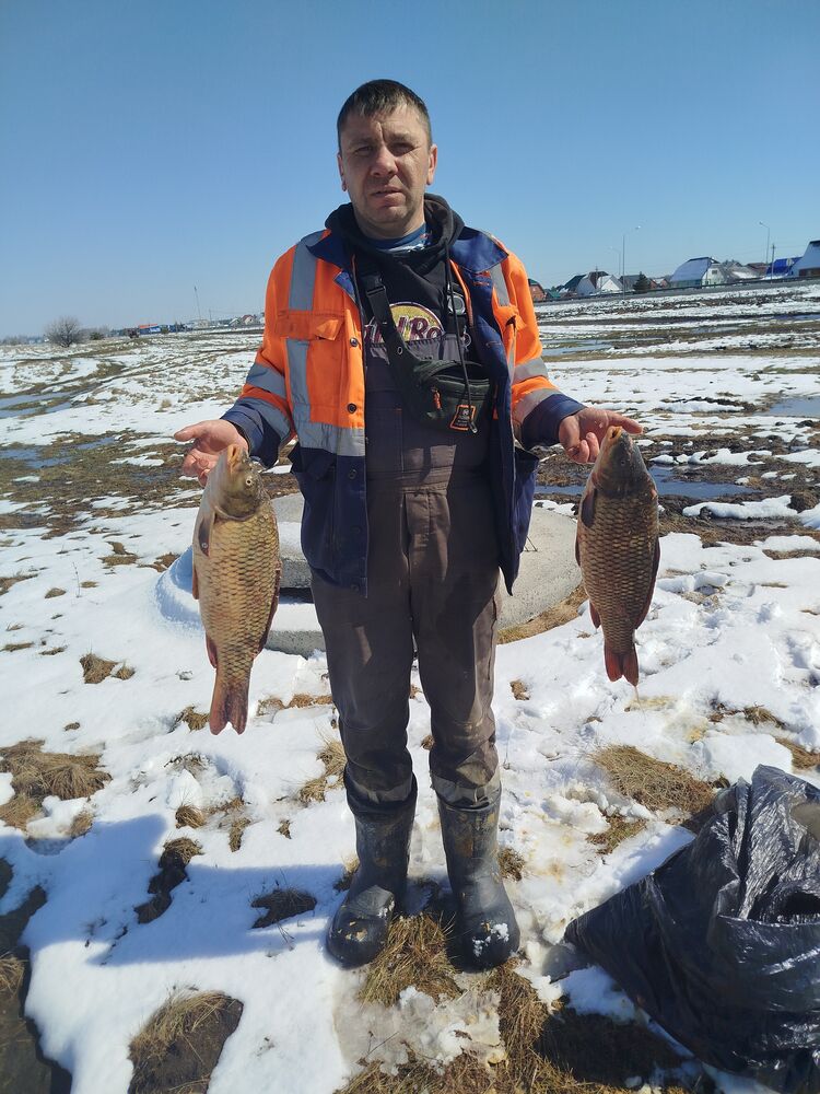 ���� 51010760 ������� ������, 42 ����, ���� ���������� � ����������