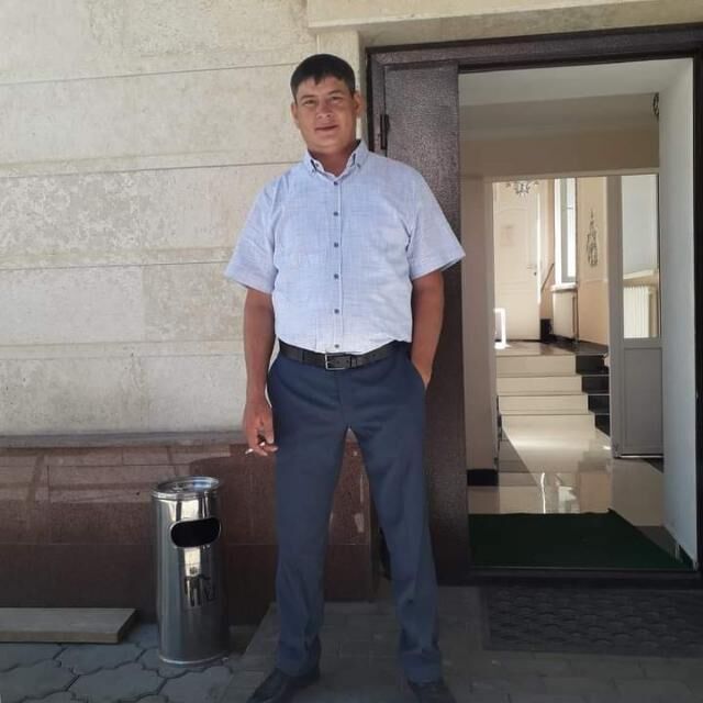  50223650  , 38 ,    
