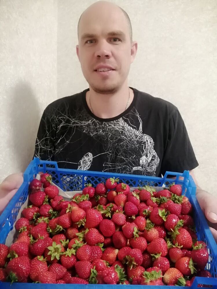  44193040  ALEKSEI, 39 ,     