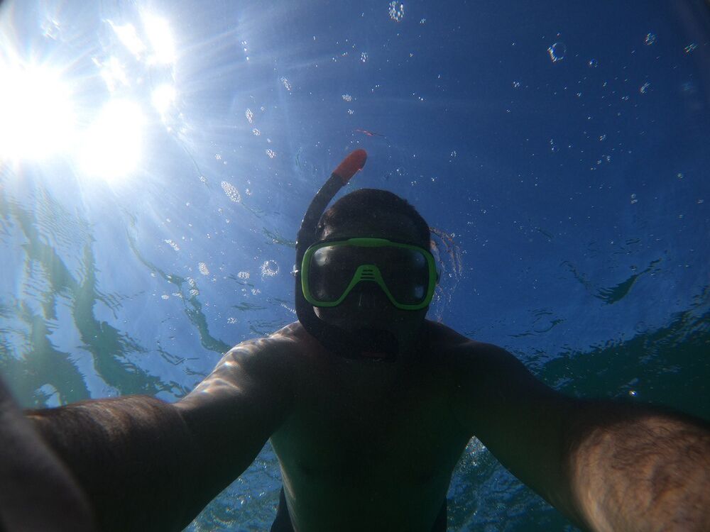 ���� 42099760 ������� ����, 38 ���, ���� ���������� � �����������