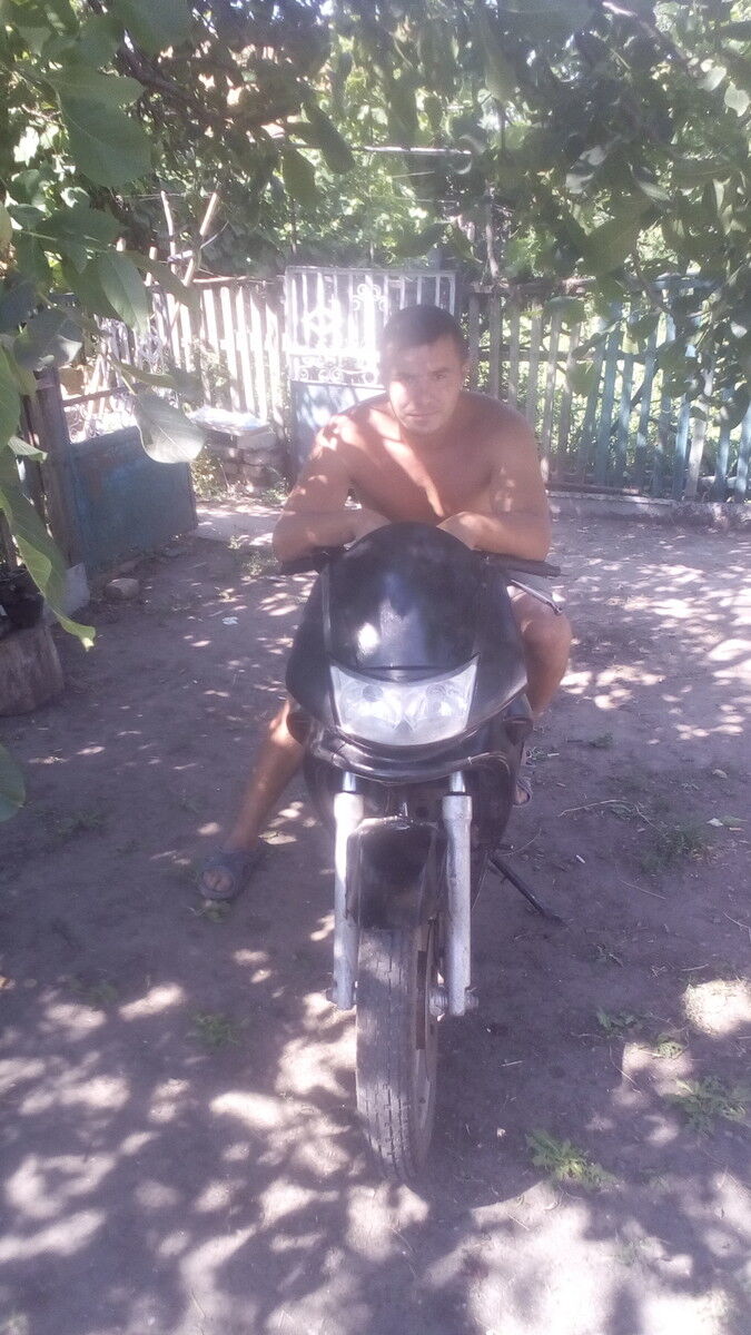  16481930  , 33 ,    