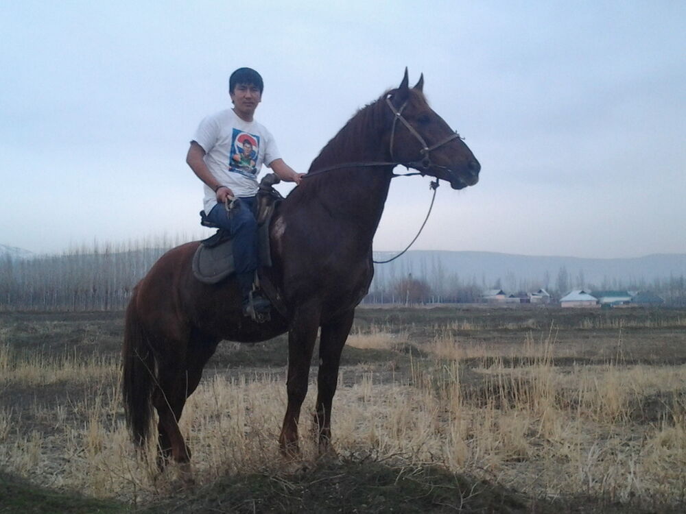  4144670  , 29 ,    -