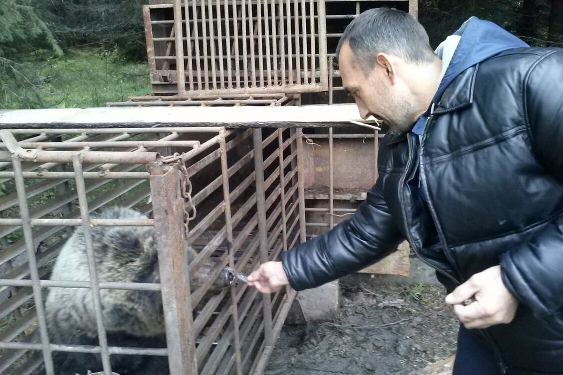 ���������� ������������, ���� ������� ������, 50 ���, ������������ ��� ������, ����� � ���������, c�������� ���������