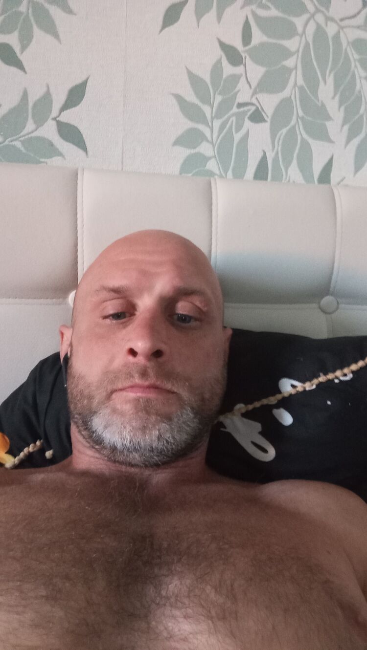  45528020  , 45 ,    