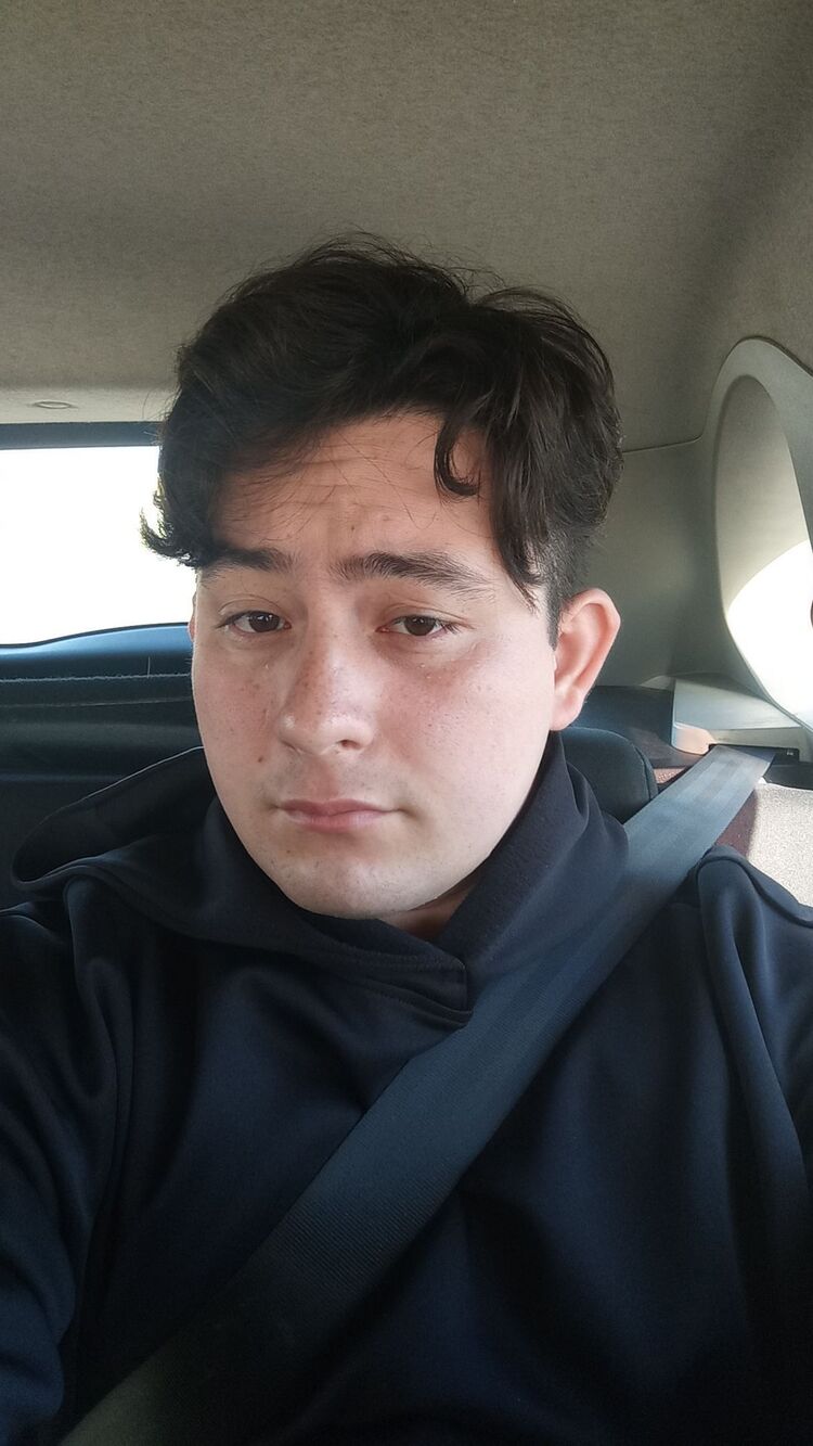 ���� 44313080 ����� ������, 24 ����, ���� ���������� � ������