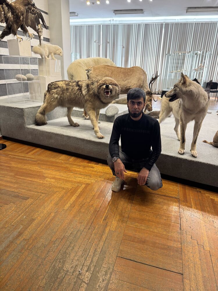 ���� 55084060 ������� ��������, 37 ���, ���� ���������� � ��������