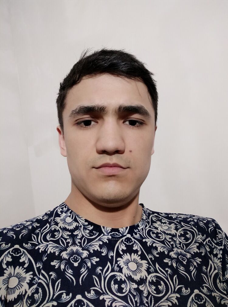  20291740  , 28 ,    