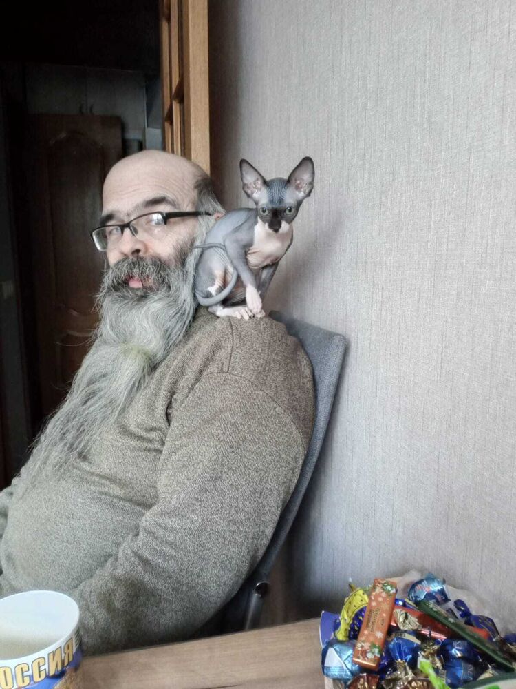  ,   , 56 ,   ,   