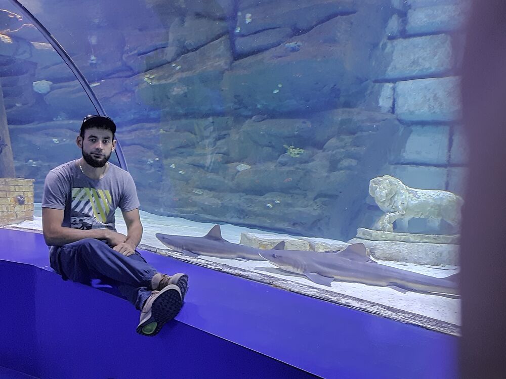  ,   , 36 ,   ,   