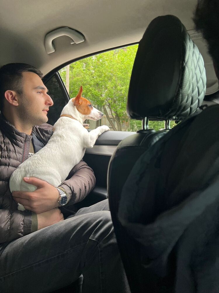 ���� 44862380 ������� ����, 35 ���, ���� ���������� � ������