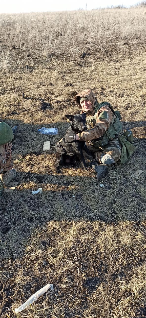 ���� 39183310 ������� ������, 33 ����, ���� ���������� � �������