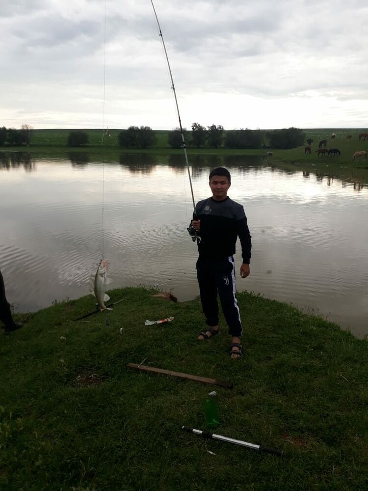 ���� 23685290 ������� Jasulan, 31 ���, ���� ���������� � ��������