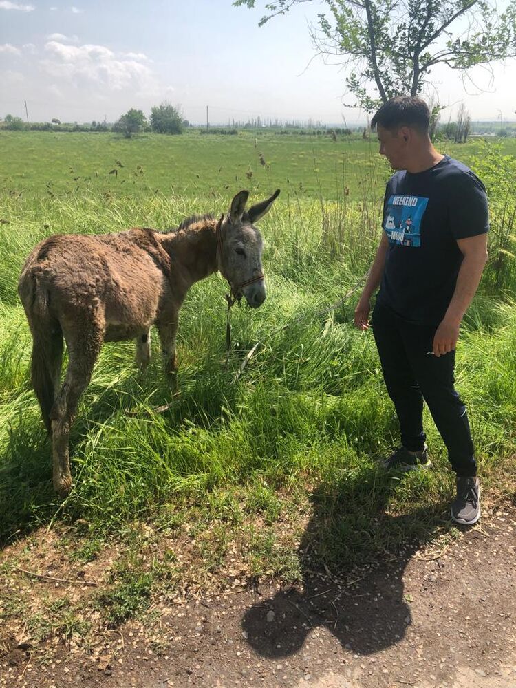 ���������� ���, ���� ������� �������, 48 ���, ������������ ��� ������, ����� � ���������, c�������� ���������