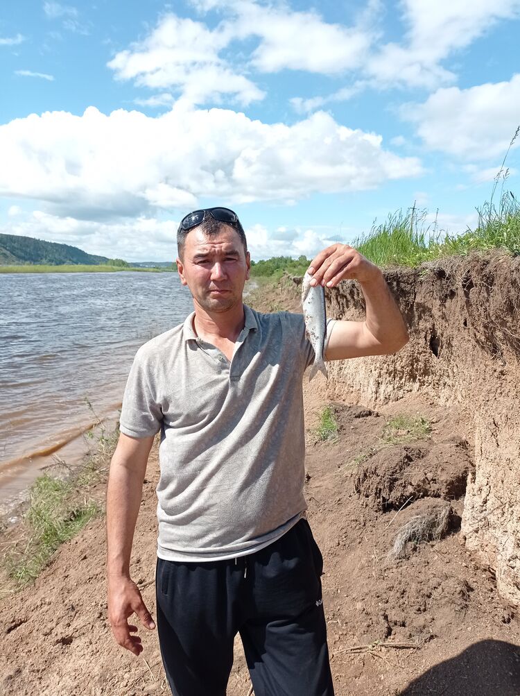 ���������� ������, ���� ������� �����, 43 ����, ������������ ��� ������, ����� � ���������, c�������� ���������