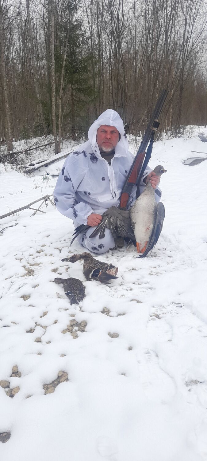 ���� 42996160 ������� ������, 46 ���, ���� ���������� � �����-����������