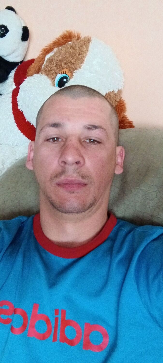 ���� 36658480 ������� �����, 36 ���, ���� ���������� � ������