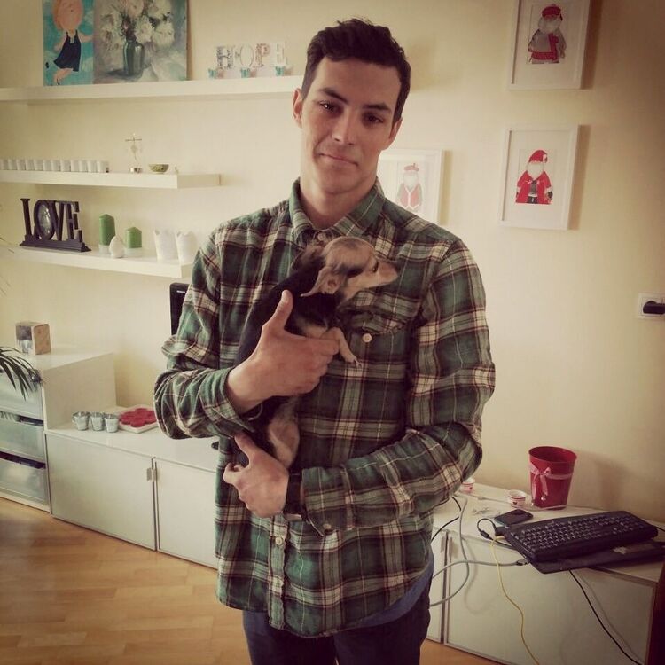 ���������� ������������, ���� ������� ����, 31 ���, ������������ ��� ������