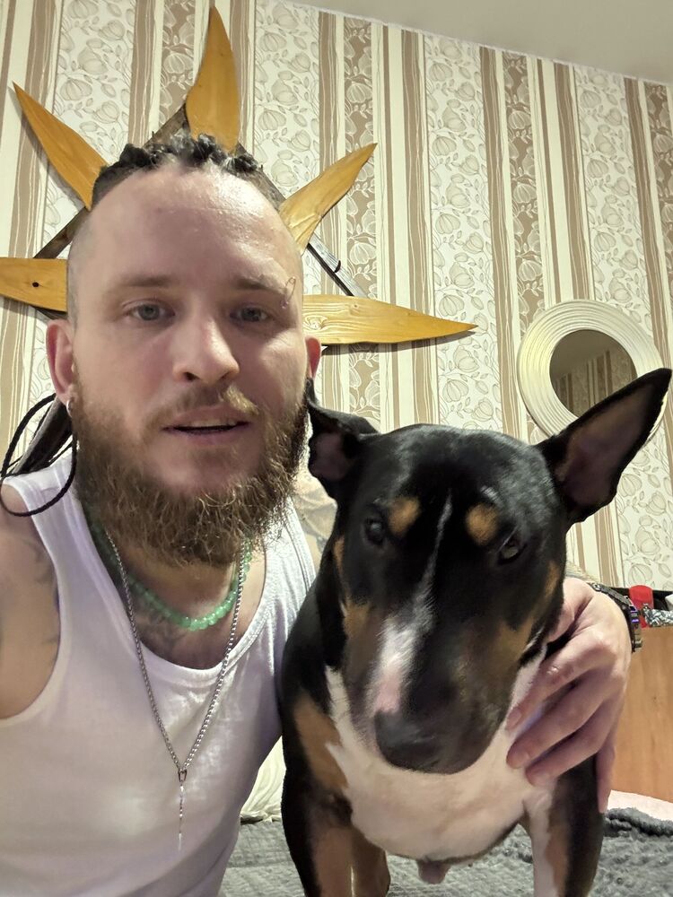 ���������� �����, ���� ������� �����, 38 ���, ������������ ��� ����� � ���������, c�������� ���������