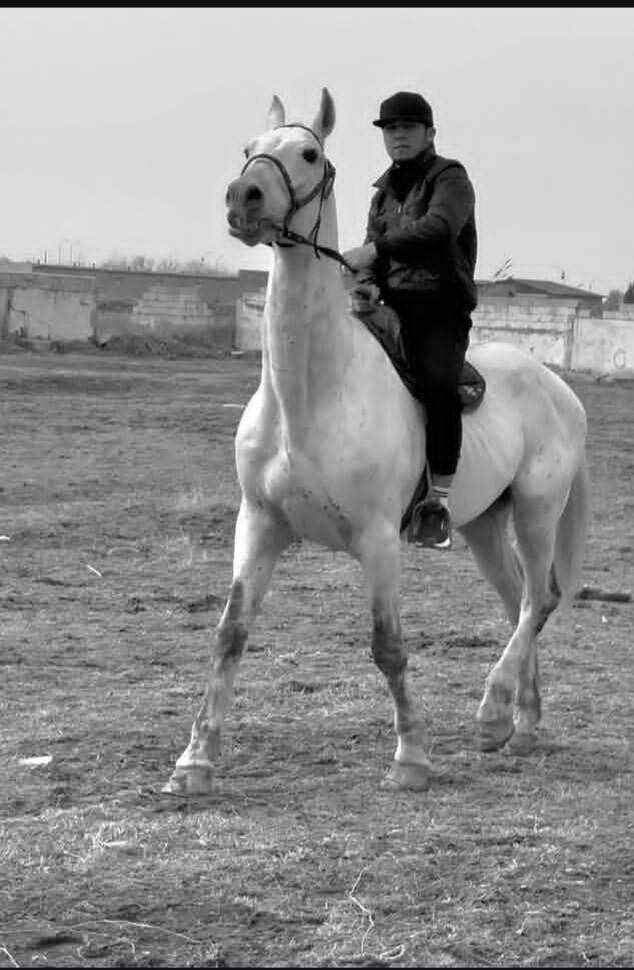 ���������� �����-���������, ���� ������� �����, 36 ���, ������������ ��� ������, ����� � ���������, c�������� ���������