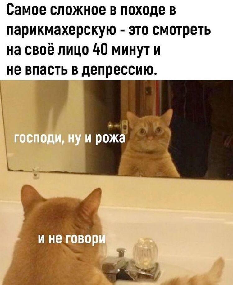  53007970  , 38 ,    
