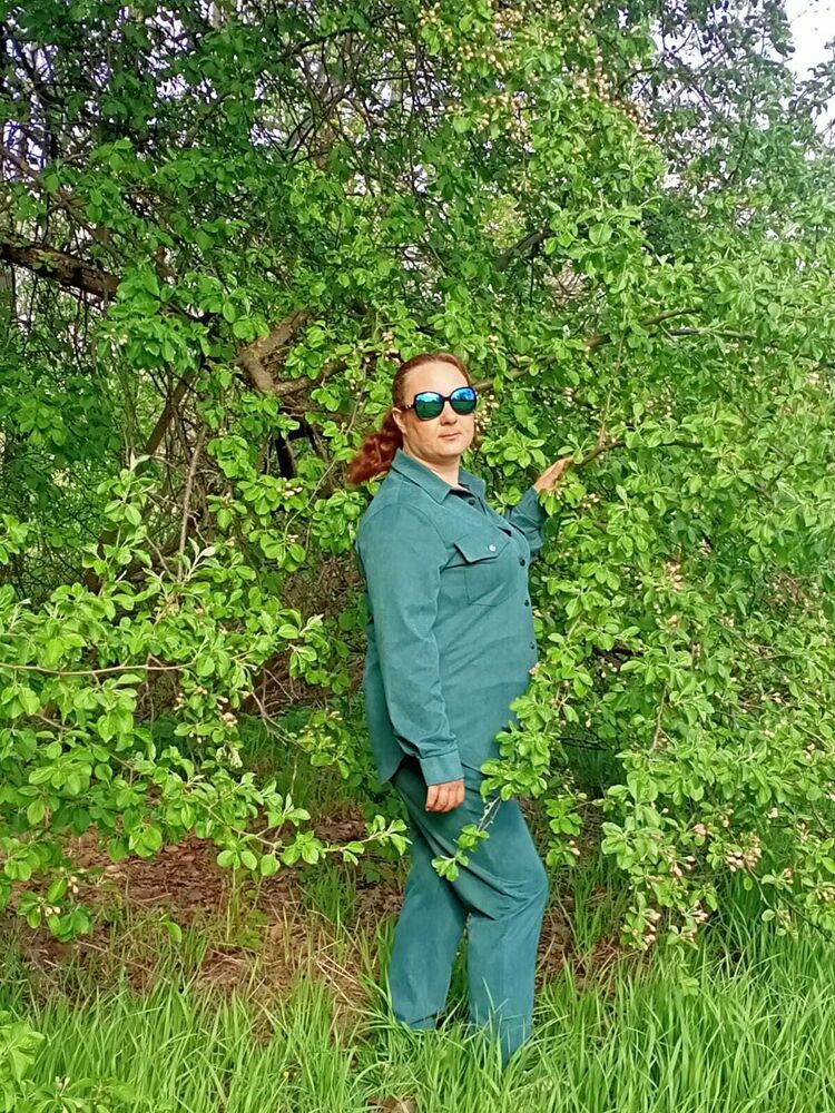  -,   , 41 ,   ,   