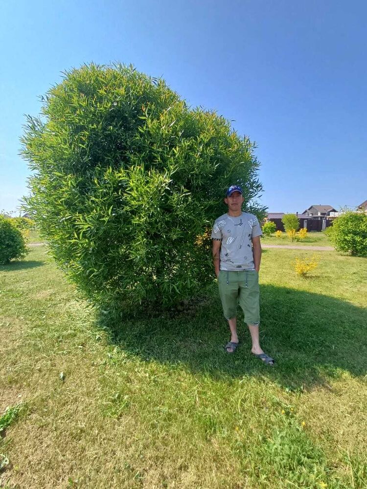 ���� 37527470 ������� �������, 38 ���, ���� ���������� � �����-����������