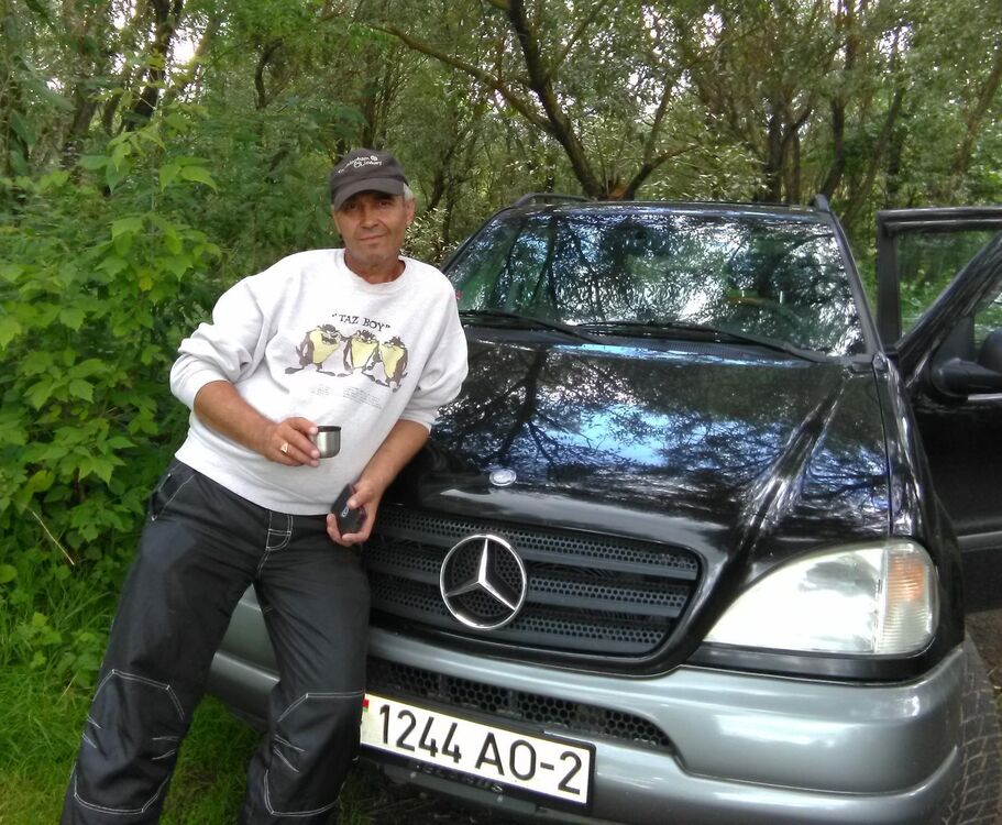  33654540  , 64 ,    