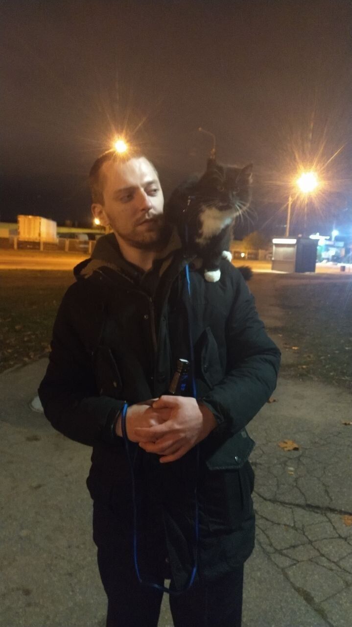 ���� 56194780 ������� �����, 31 ���, ���� ���������� � ������