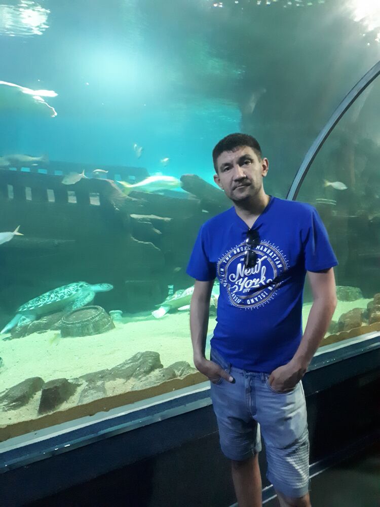 ���� 26645020 ������� ������, 40 ���, ���� ���������� � �������