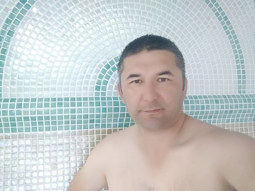  ,   SAID, 41 ,  