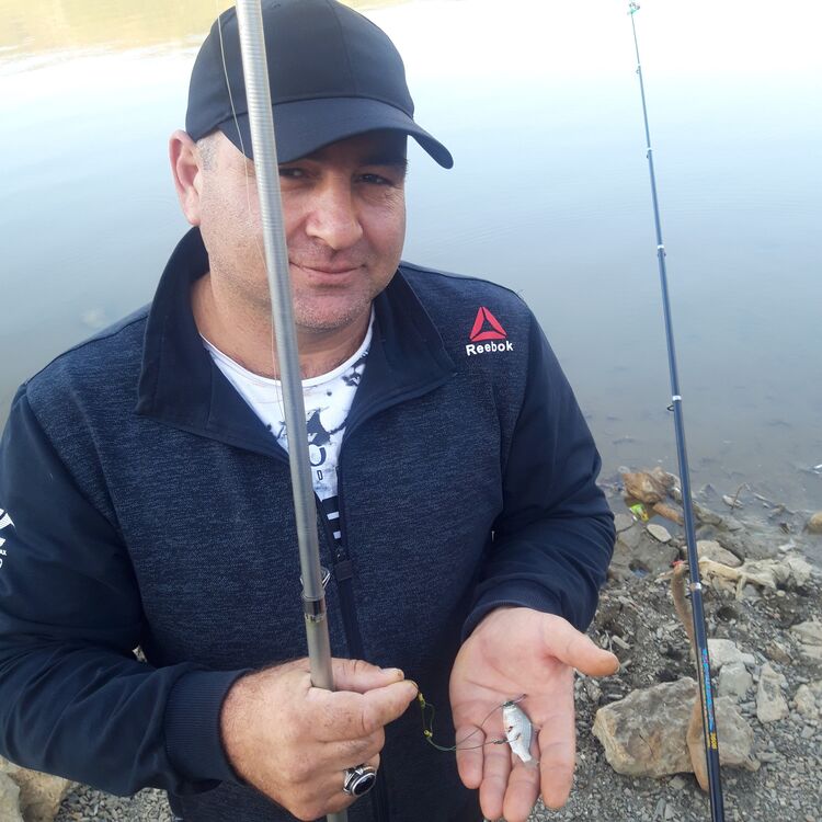 ���������� ����, ���� ������� �������, 44 ����, ������������ ��� ������, ����� � ���������