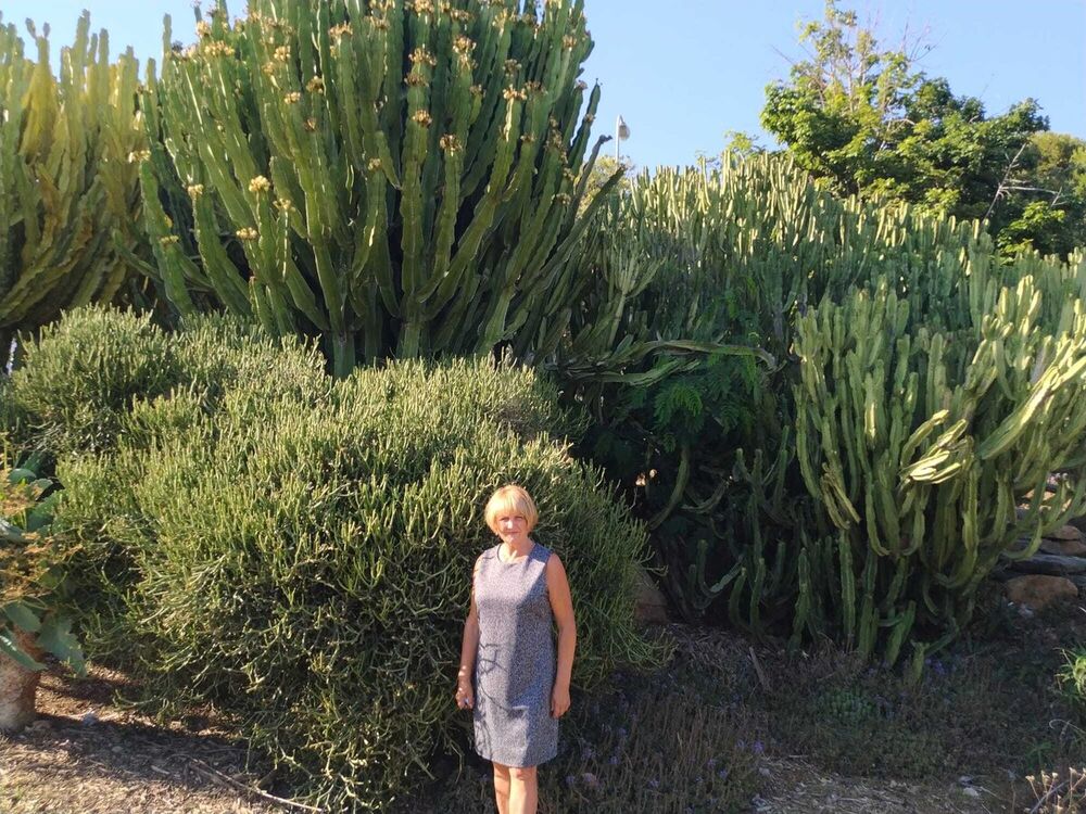 ���� 20733380 ������� ���������, 72 ����, ���� ���������� � Acala Del Rio