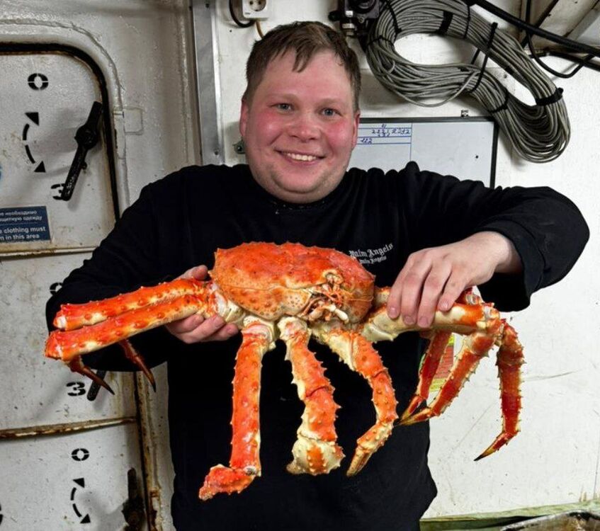 ���������� ���������, ���� ������� Viktor, 27 ���, ������������ ��� ����� � ���������, c�������� ���������