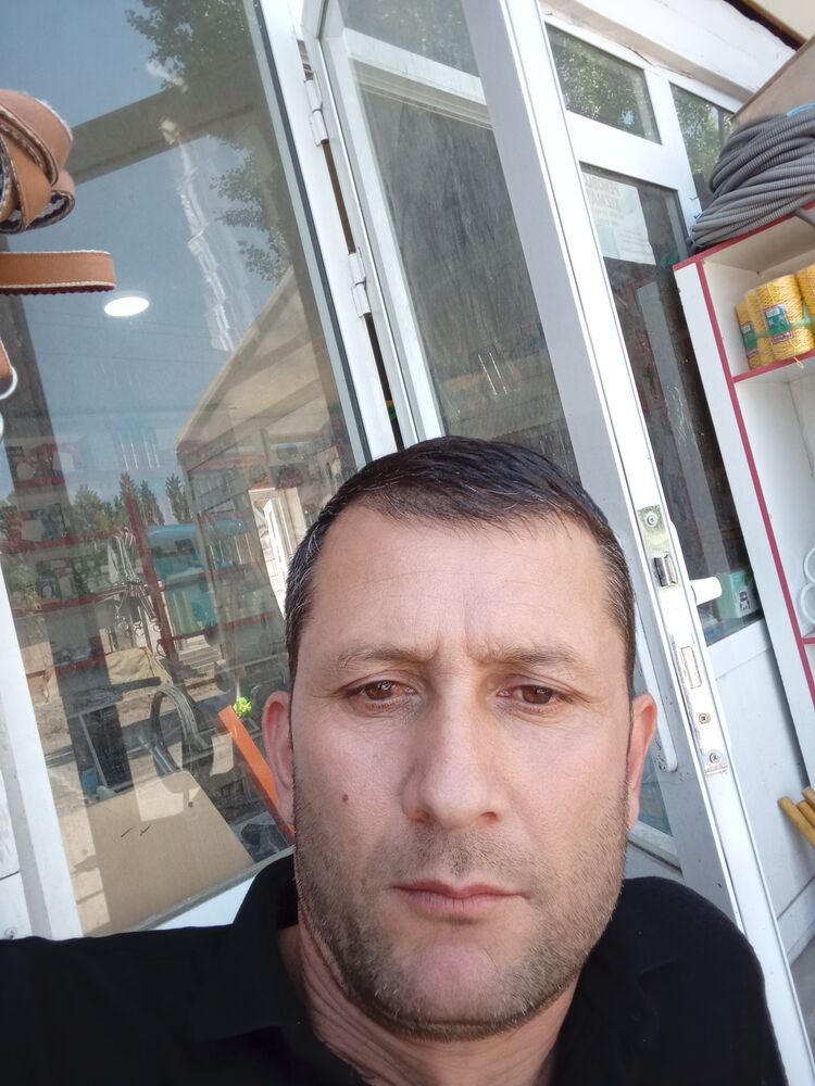  51431270  , 43 ,    -