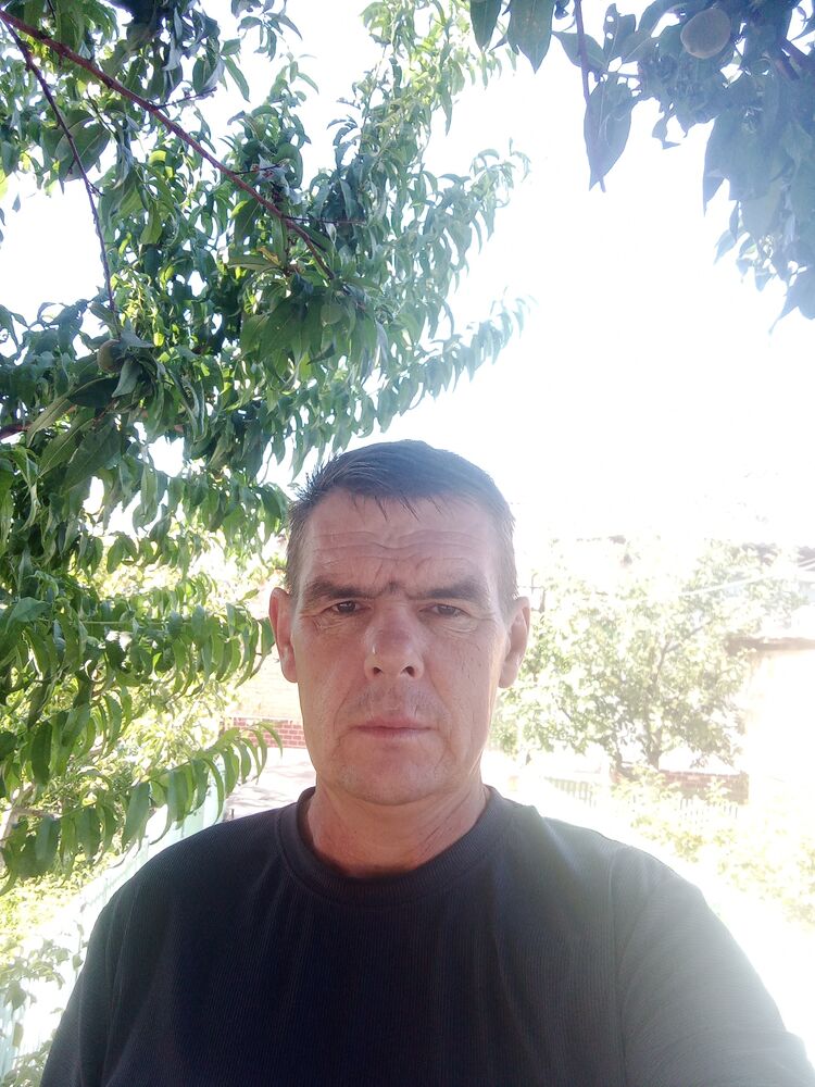  53096550  , 47 ,    