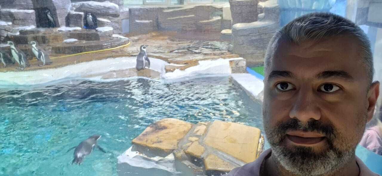  53803900  Tropicana, 39 ,    